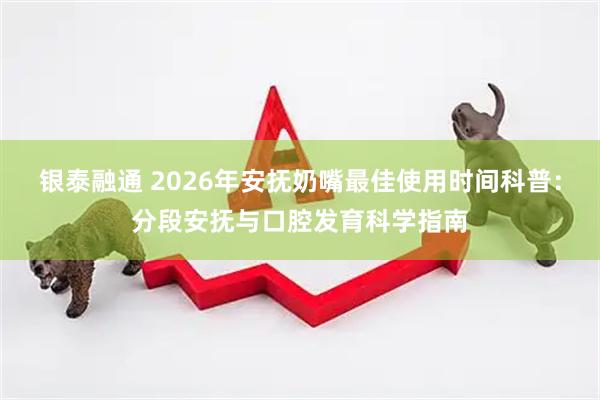 银泰融通 2026年安抚奶嘴最佳使用时间科普：分段安抚与口腔发育科学指南